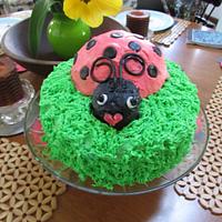 Lady Bug Cake for My Sweet Grand Daughter Lydia 