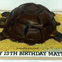 3d Tortoise