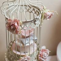 Cupcake in a cage