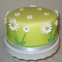 Simple daisy cake