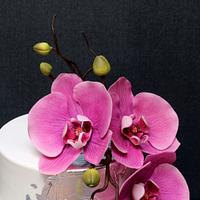 Blooming Orchids !
