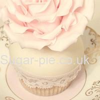 Vintage Lace & rose cupcake collection