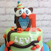 Baby boy Owl cake
