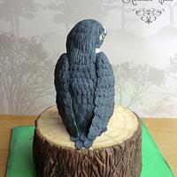 Falcon cake