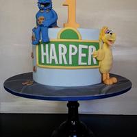 Harper's First Birthday