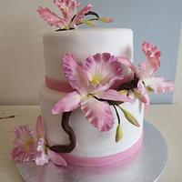 Delicate orchids cake
