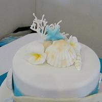 Sea Shells Cake