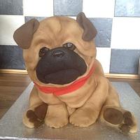 Pug pup cake