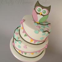 Owl Christening Cake