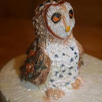 Modeling chocolate barn owl
