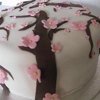 Cherry blossom cake
