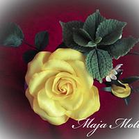 Rose. Sugar flower