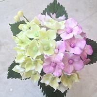 Gum paste hydrangea flower