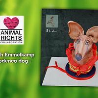 Animal rights collaboration; Podenco dog
