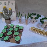 Cactus birthday cake