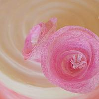 Pink wafer rolled roses
