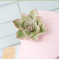 Rustic buttercream with succulents