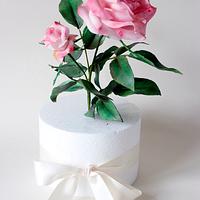 Sugar Roses Sugar Roses