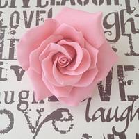 Gum-paste roses