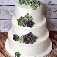 Succulent  wedding cake