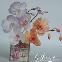 Wafer paper Moth Orchid