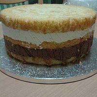 Cosmos cake 