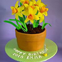 Flower pot cake for Emma
