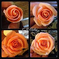Graduated Colour Sugar rose