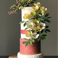 Winter Helleborus niger and berries cake!...
