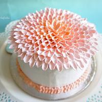 Chrysanthemum Cake
