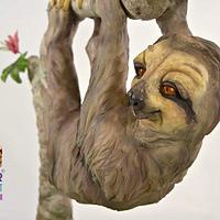 Hanging Sloth Cake!