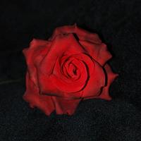 Hand Crafted Rose 