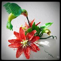 Hummingbird and Passion Flower