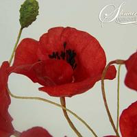 Poppies from waferpaper
