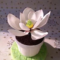 Flowers Mini Cakes