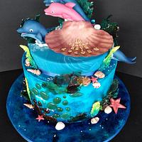 Dolphins Dolphins
