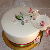 cake orchid
