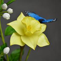Jasmine, Daffodil