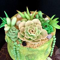 Succulents for Mom
