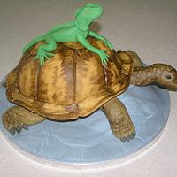 Turtle and Leguan Lizard Cake