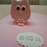 Owl themed christening cake. 