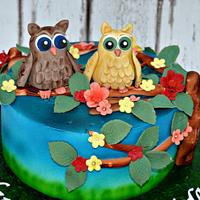 Cutie Owls cake