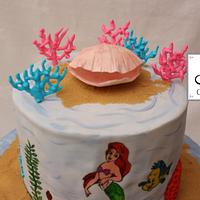 Ariel hand pained cake