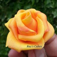 Yellow/Red  icing Rose 