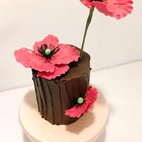 Cake just for fun with wild poppy.