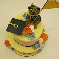 UC Berkeley Graduation Cake