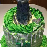 OLIVER - SCULPTED CAT CAKE