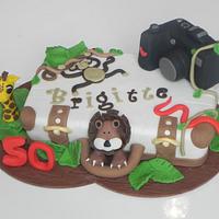 cake safari 