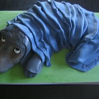 Moose the Dog Cake