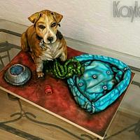 Spike the jack russell cross with his bed an bowl from cake too xxx 